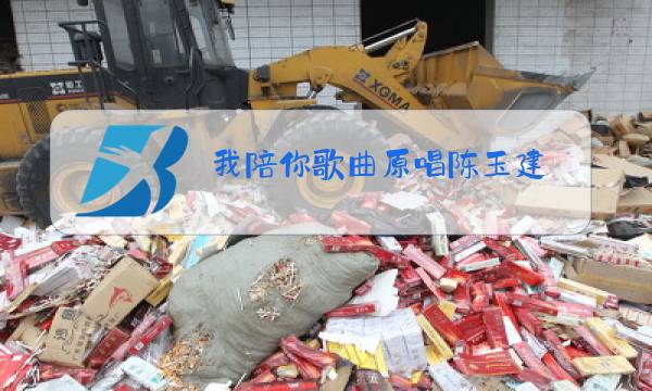 我陪你歌曲原唱陈玉建图片