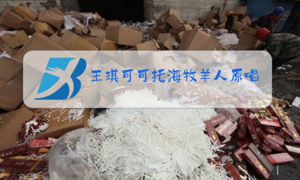 王琪可可托海牧羊人原唱图片