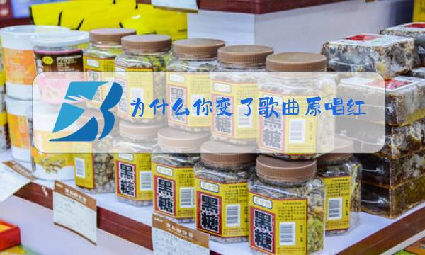 为什么你变了歌曲原唱红尘情痴图片