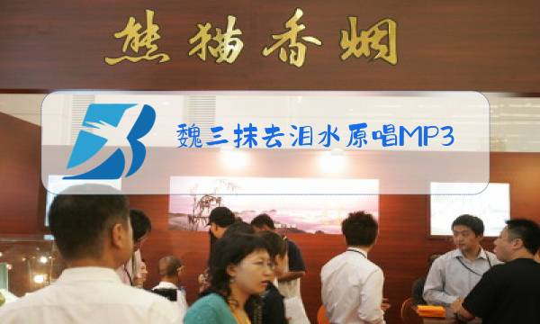 魏三抹去泪水原唱MP3百度云图片