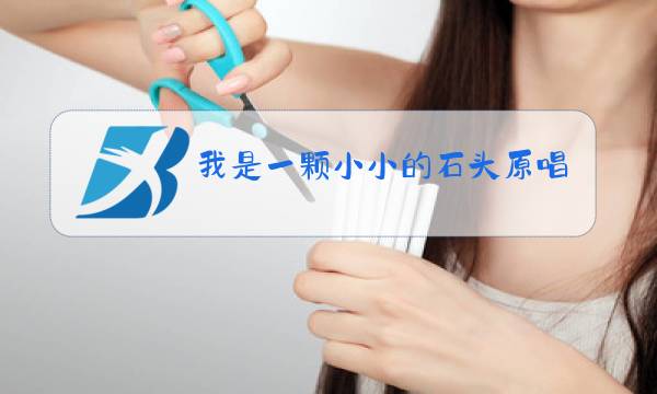 我是一颗小小的石头原唱歌曲图片