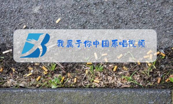 我属于你中国原唱视频图片
