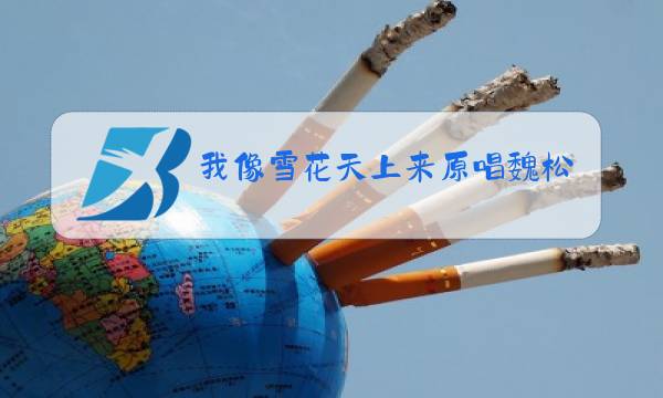 我像雪花天上来原唱魏松图片