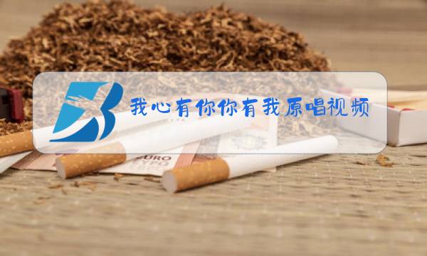 我心有你你有我原唱视频图片