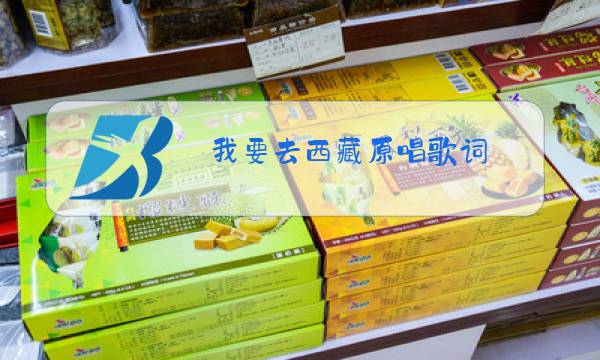 我要去西藏原唱歌词图片