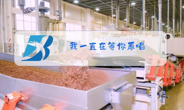 我一直在等你原唱图片