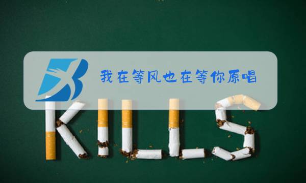 我在等风也在等你原唱图片