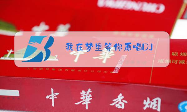 我在梦里等你原唱DJ图片