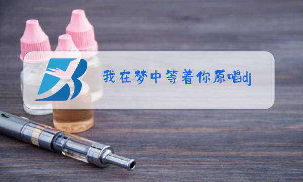 我在梦中等着你原唱dj图片