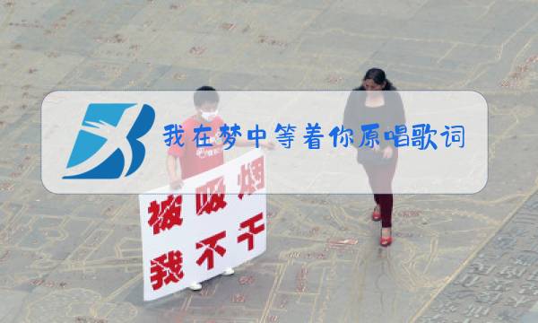 我在梦中等着你原唱歌词图片