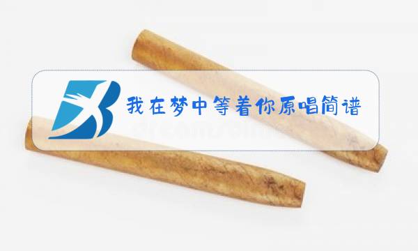 我在梦中等着你原唱简谱图片