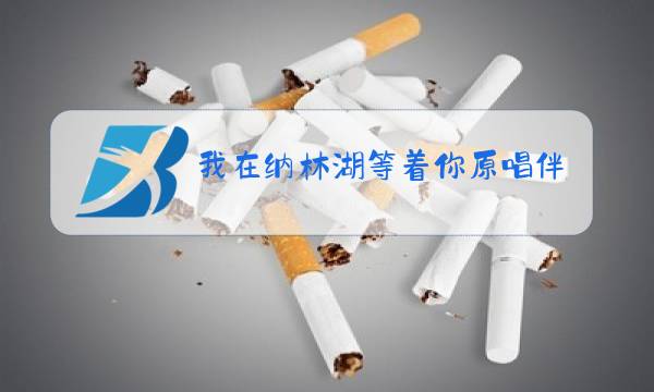 我在纳林湖等着你原唱伴奏图片