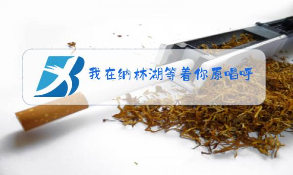 我在纳林湖等着你原唱呼斯楞图片