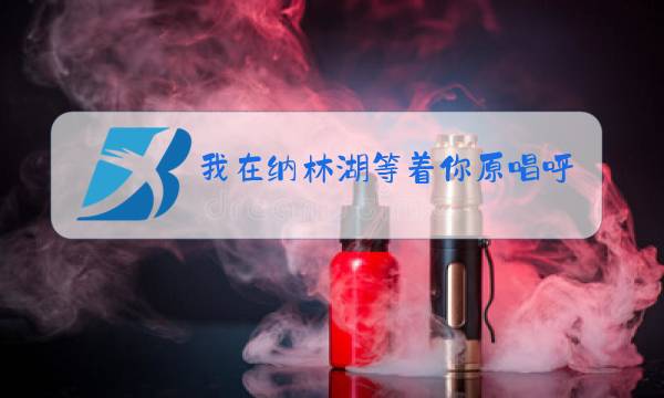 我在纳林湖等着你原唱呼斯楞现场视频图片