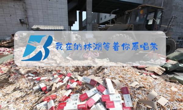 我在纳林湖等着你原唱朱永飞图片