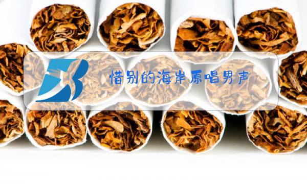 惜别的海岸原唱男声图片
