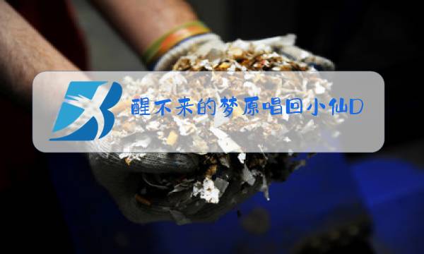 醒不来的梦原唱回小仙DJ图片
