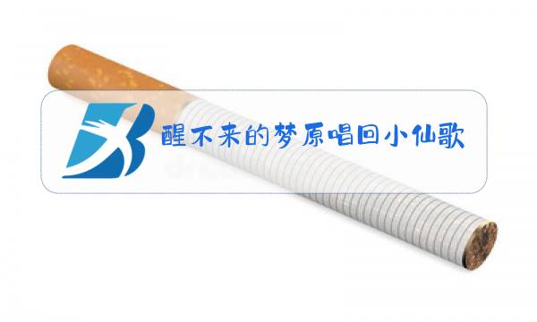 醒不来的梦原唱回小仙歌词图片