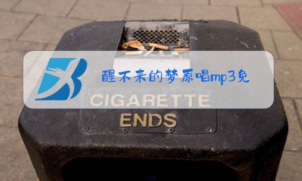醒不来的梦原唱mp3免费下载图片
