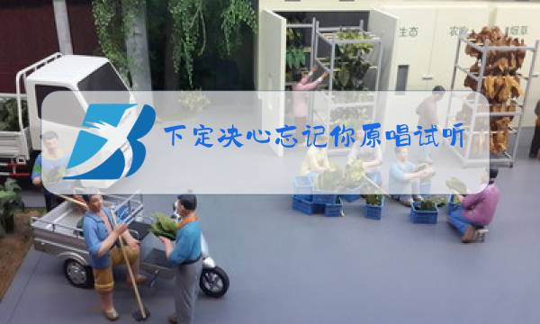 下定决心忘记你原唱试听图片