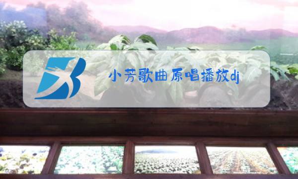 小芳歌曲原唱播放dj图片