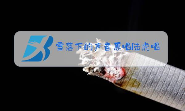 雪落下的声音原唱陆虎唱的是什么调?图片