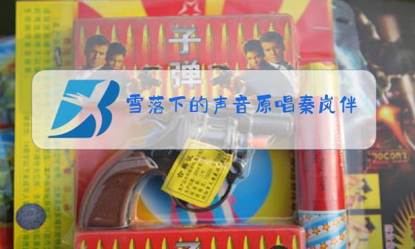 雪落下的声音原唱秦岚伴奏图片