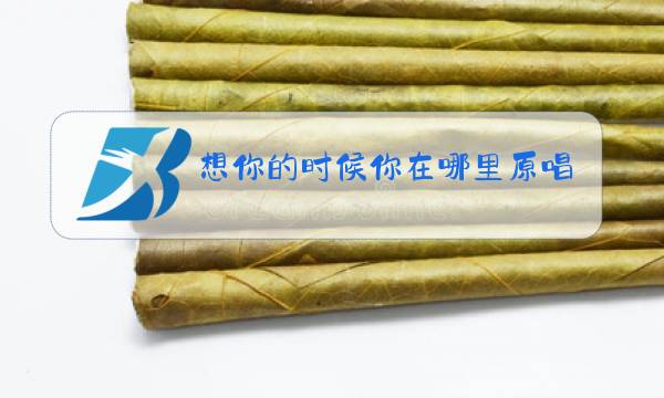 想你的时候你在哪里原唱什么歌图片