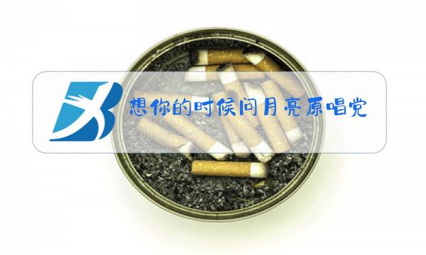 想你的时候问月亮原唱党明毅视频图片