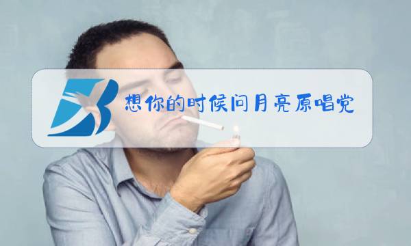 想你的时候问月亮原唱党明毅图片