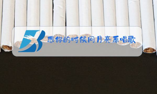 想你的时候问月亮原唱歌曲视频图片