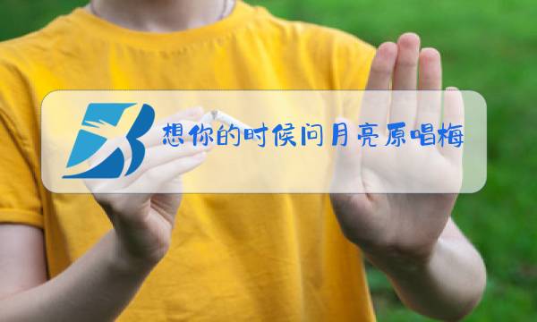 想你的时候问月亮原唱梅朵图片