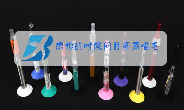 想你的时候问月亮原唱毛惠下载图片