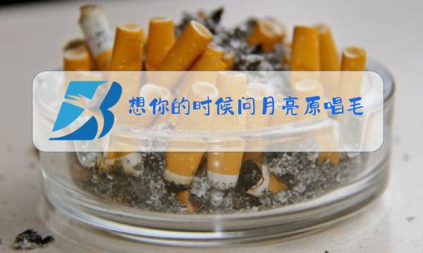 想你的时候问月亮原唱毛慧图片