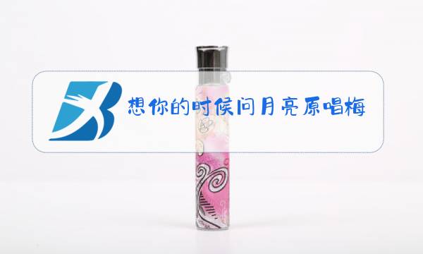 想你的时候问月亮原唱梅朵视频