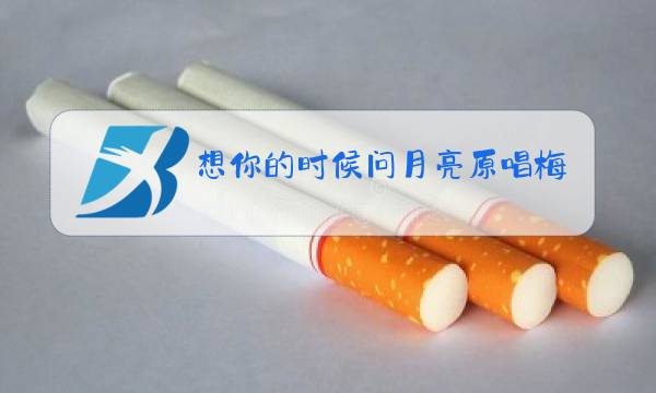 想你的时候问月亮原唱梅朵ktv图片