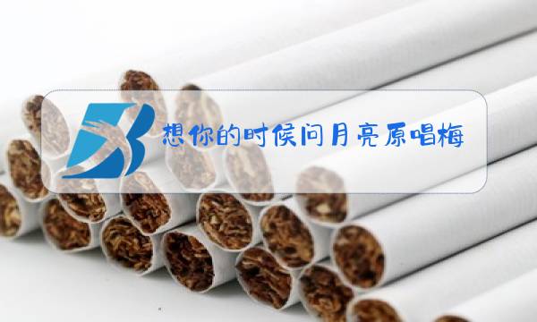 想你的时候问月亮原唱梅朵的情况图片