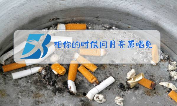 相你的时候问月亮原唱免费下载图片