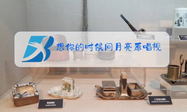 想你的时候问月亮原唱视频手心里的温柔图片