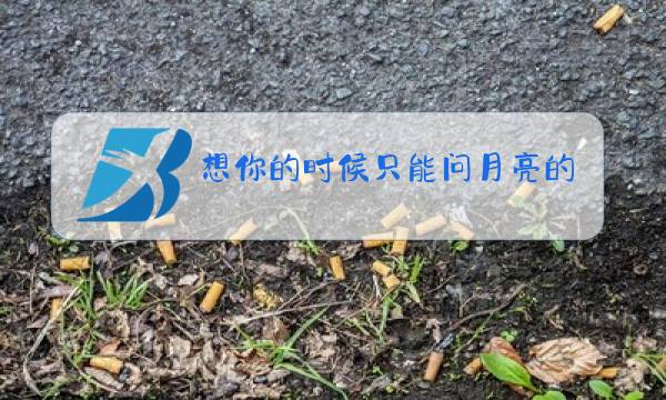 想你的时候只能问月亮的原唱ktv图片
