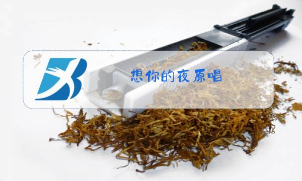 想你的夜原唱图片
