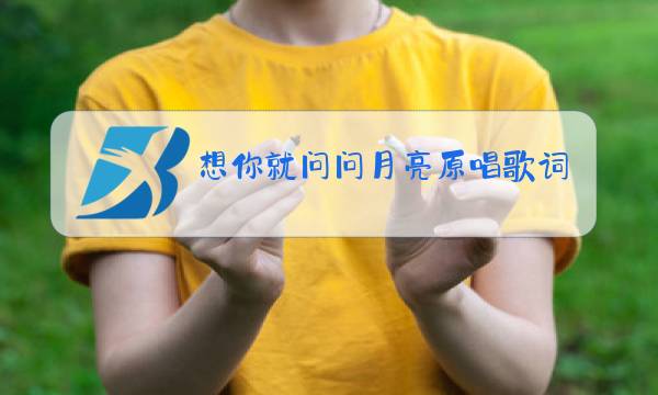想你就问问月亮原唱歌词图片