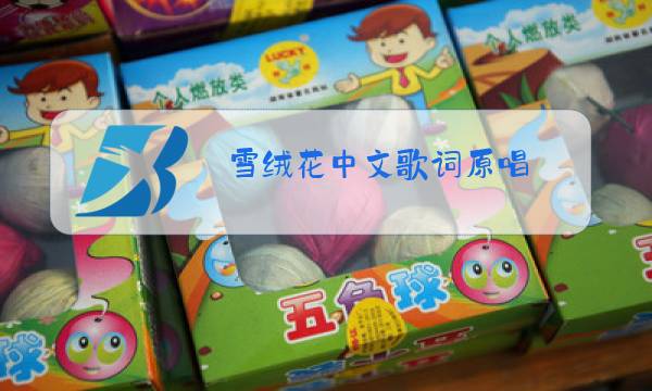 雪绒花中文歌词原唱图片