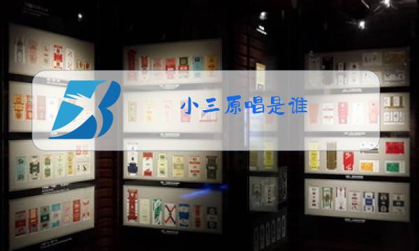 小三原唱是谁图片