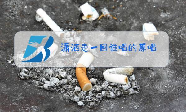 潇洒走一回谁唱的原唱图片