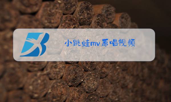 小跳蛙mv原唱视频图片