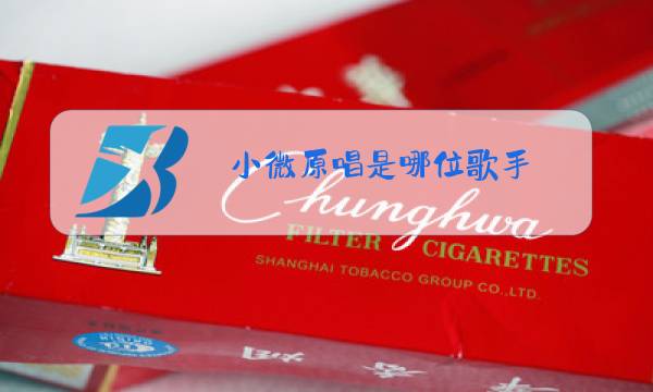 小微原唱是哪位歌手图片