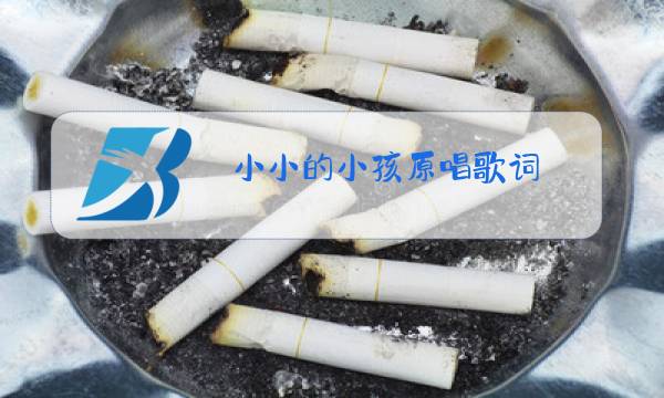 小小的小孩原唱歌词图片
