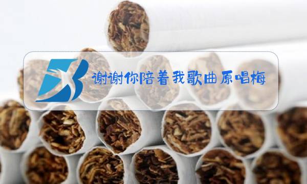 谢谢你陪着我歌曲原唱梅朵图片