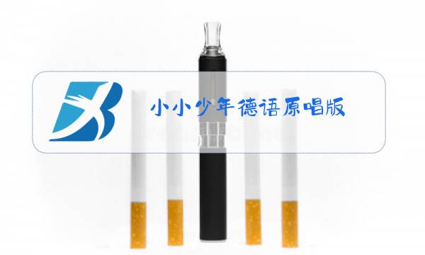 小小少年德语原唱版图片